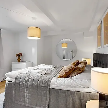 Spacious Centrally Located Penthouse With A Terrace Close To Illum Kodaň
