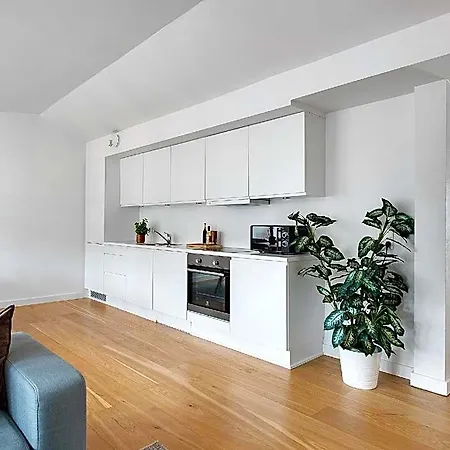 Hotel Spacious Centrally Located Penthouse With A Terrace Close To Illum